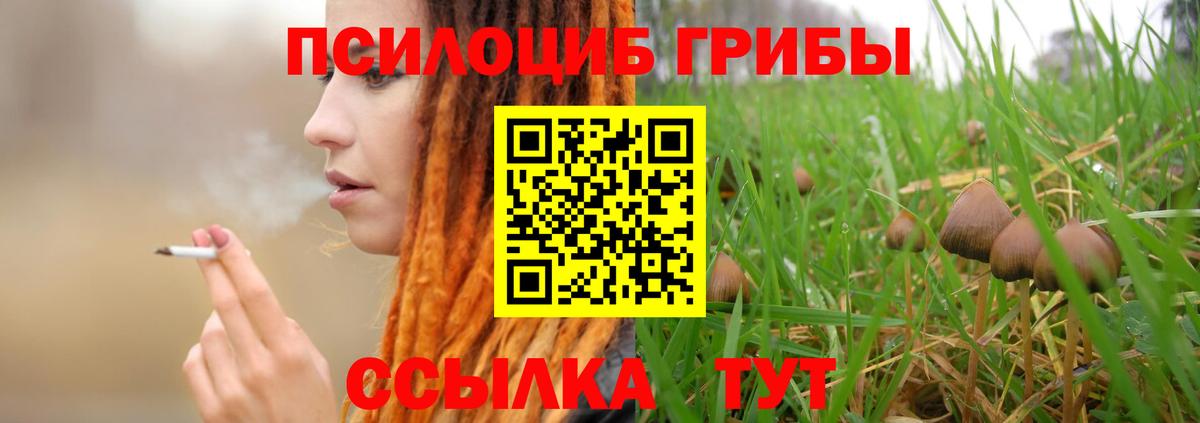 Новотроицк  Псилоцибиновые грибы Cubensis  Вход с VPN  Галлюциногенные грибы Psilocybine cubensis 